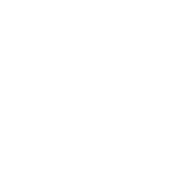 Integrity & Professionalism