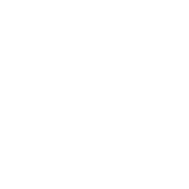 Flag State Inspection Services