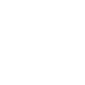 Statutory Certification Services