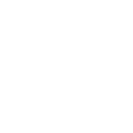 Technical Consultancy