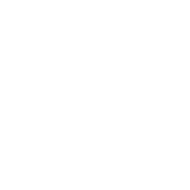 Vessel Surveys & Inspections